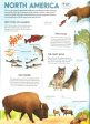 The Amazing Animal Atlas Supply